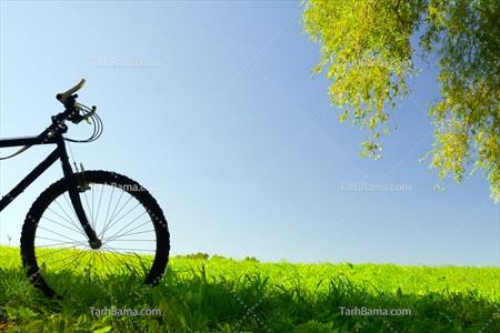 تصویر با کیفیت دوچرخه در طبیعت تابستان